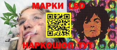 шишки Будённовск