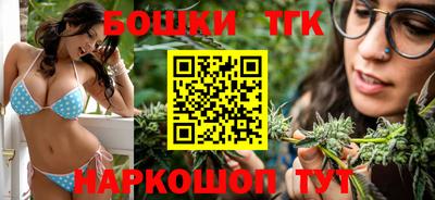 шишки Будённовск